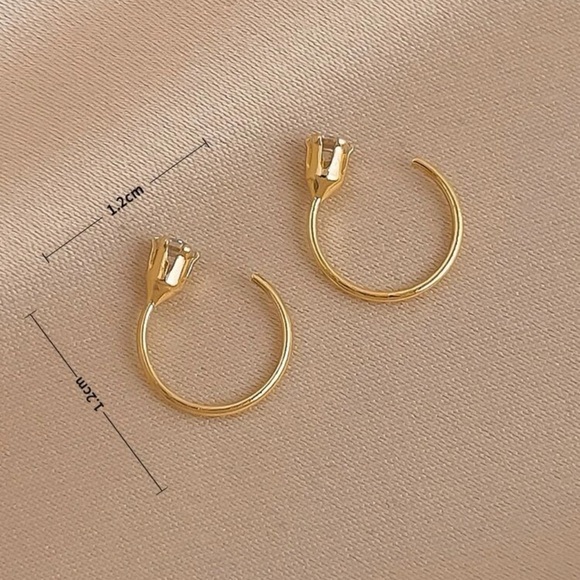 Stud Earrings - Picture 4 of 5